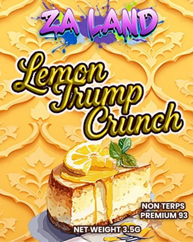 Mylar 178 (640×800)