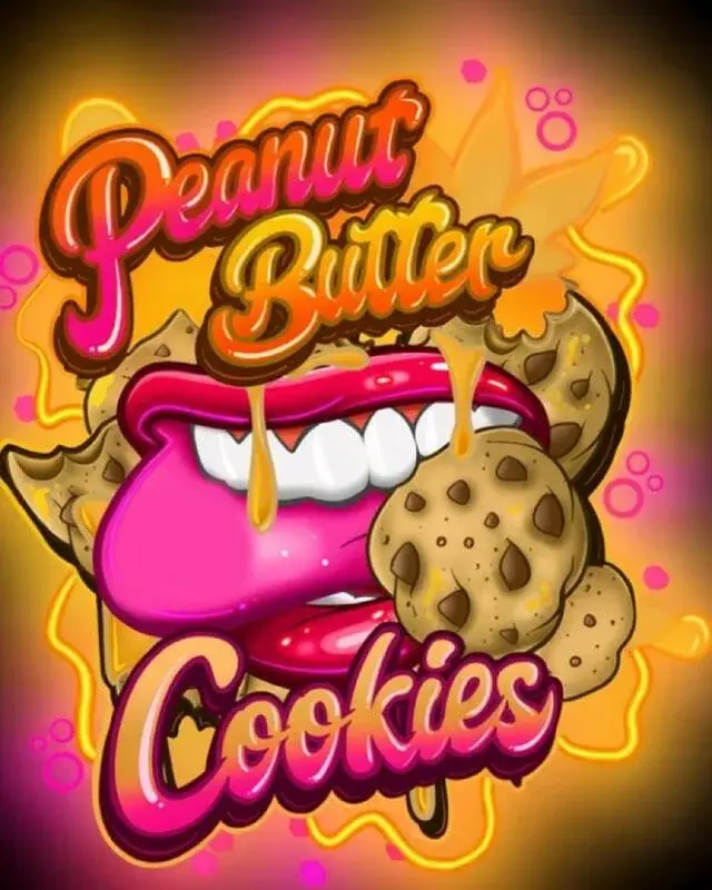 Mylar 182 (640×800)