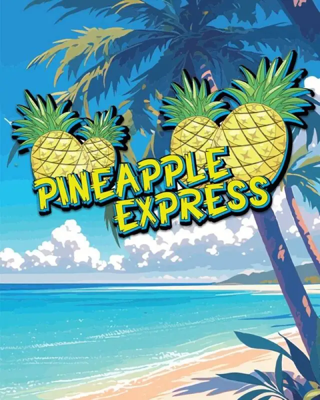 Mylar 183 (640×800)