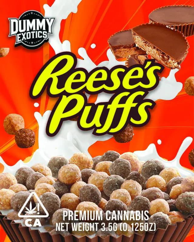 Mylar 233 (640×800)