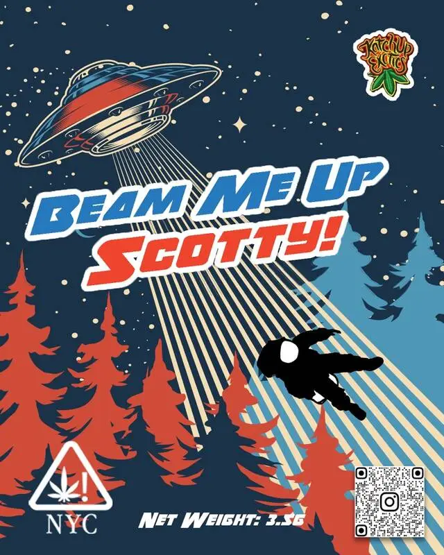 Mylar 293 (640×800)