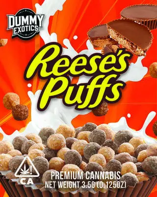 Mylar 339 (320×400)